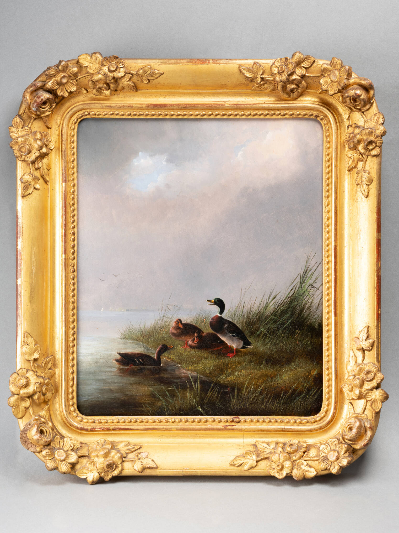 Huile sur carton figurant un colvert et des canes, XIXe siècle