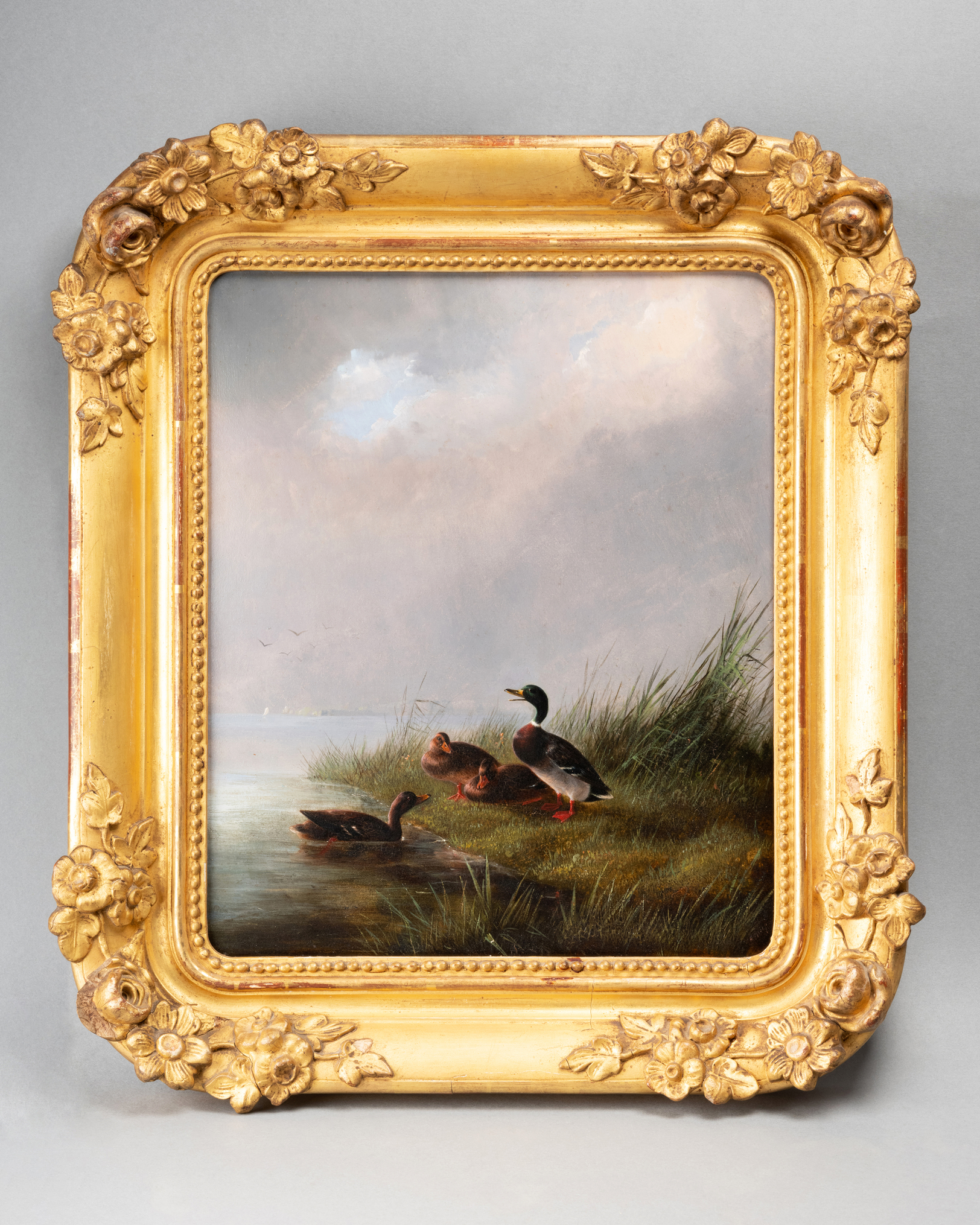 Huile sur carton figurant un colvert et des canes, XIXe siècle