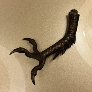 Griffe de dragon en bronze, Chine, XVIIe siècle
